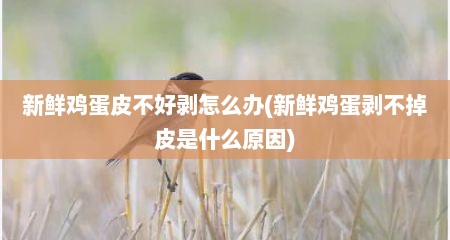 新鲜鸡蛋皮不好剥怎么办(新鲜鸡蛋剥不掉皮是什么原因)