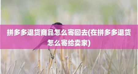 拼多多退货商品怎么寄回去(在拼多多退货怎么寄给卖家)