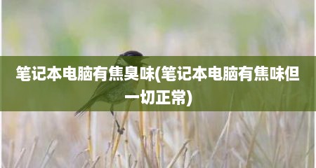 笔记本电脑有焦臭味(笔记本电脑有焦味但一切正常)