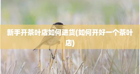 新手开茶叶店如何进货(如何开好一个茶叶店)