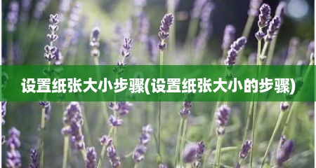 设置纸张大小步骤(设置纸张大小的步骤)