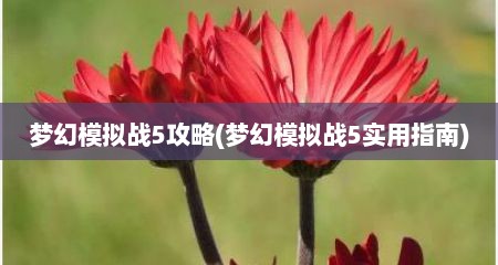 梦幻模拟战5攻略(梦幻模拟战5实用指南)