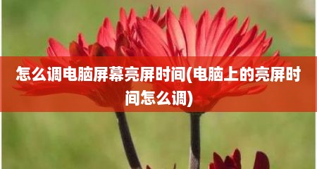 怎么调电脑屏幕亮屏时间(电脑上的亮屏时间怎么调)