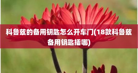 科鲁兹的备用钥匙怎么开车门(18款科鲁兹备用钥匙插哪)