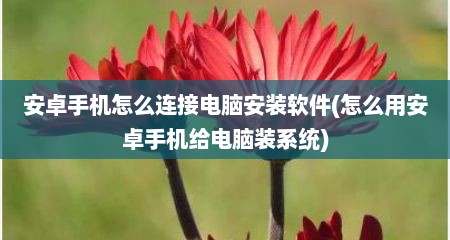 安卓手机怎么连接电脑安装软件(怎么用安卓手机给电脑装系统)