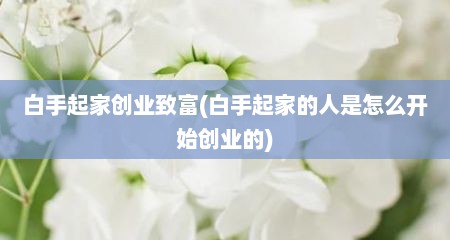 白手起家创业致富(白手起家的人是怎么开始创业的)