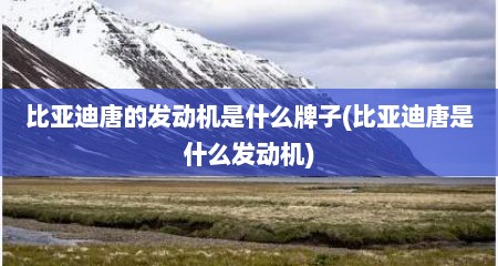 比亚迪唐的发动机是什么牌子(比亚迪唐是什么发动机)
