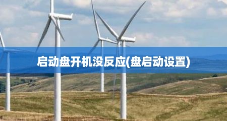 启动盘开机没反应(盘启动设置)