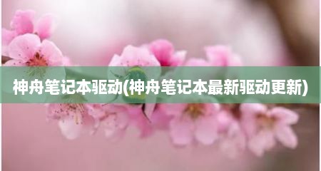 神舟笔记本驱动(神舟笔记本最新驱动十分新)