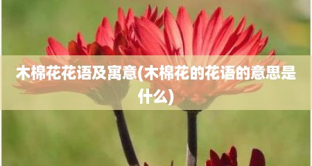 木棉花花语及寓意(木棉花的花语的意思是什么)