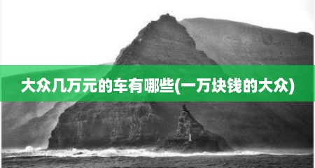 大众几万元的车有哪些(一万块钱的大众)