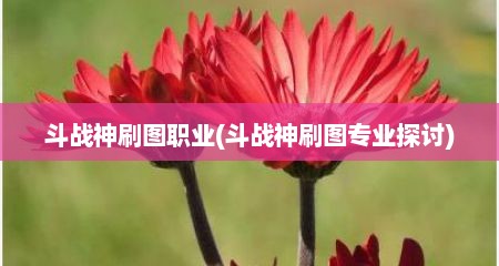 斗战神刷图职业(斗战神刷图专业探讨)