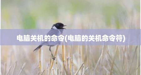 电脑关机的命令(电脑的关机命令符)