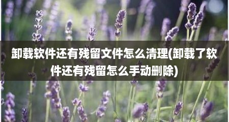 卸载软件还有残留文件怎么清理(卸载了软件还有残留怎么手动删除)