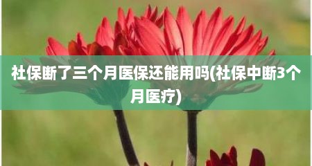社保断了三个月医保还能用吗(社保中断3个月医疗)