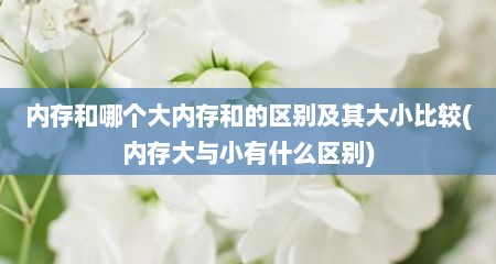 内存和哪个大内存和的区别及其大小比较(内存大与小有什么区别)