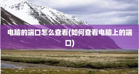 电脑的端口怎么查看(如何查看电脑上的端口)