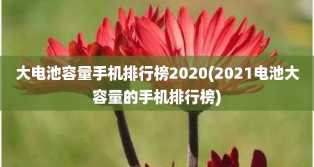 大电池容量手机排行榜2020(2021电池大容量的手机排行榜)
