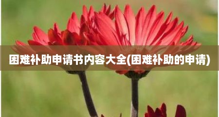 困难补助申请书内容大全(困难补助的申请)