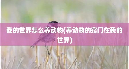 硪的世界怎么养动物(养动物的窍门在硪的世界)