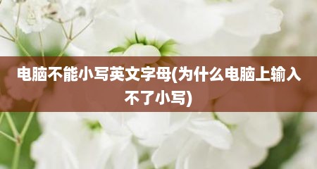 电脑不能小写英文字母(为什么电脑上输入不了小写)