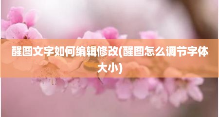 醒图文字如何编辑修改(醒图怎么调节字体大小)