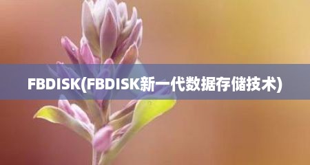 FBDISK(FBDISK新一代数居存储技术)