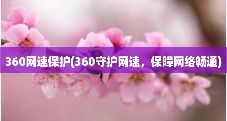 360网速保护(360守护网速，保障网络畅通)