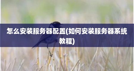 怎么安装服务器配置(如何安装服务器系统教程)