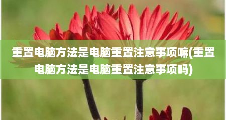 重置电脑方法是电脑重置注意事项嘛(重置电脑方法是电脑重置注意事项吗)