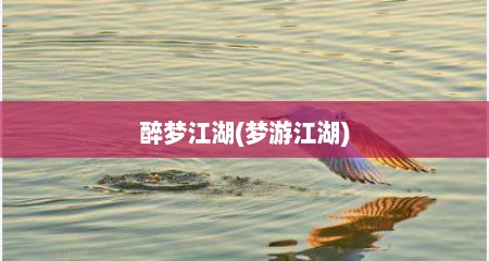 醉梦江湖(梦游江湖)