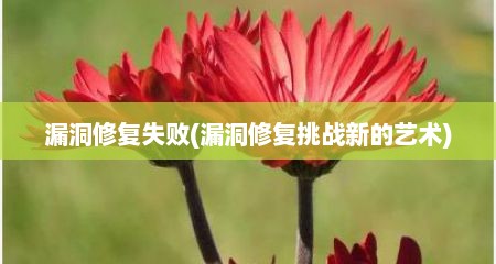 漏洞修复失败(漏洞修复挑战新的艺术)