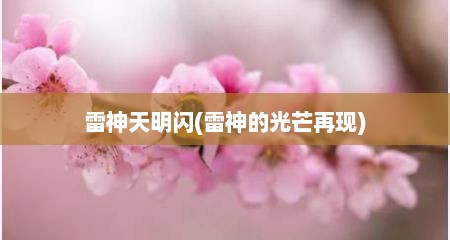 雷神天明闪(雷神的光芒再现)