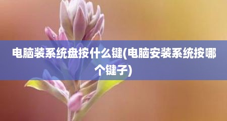 电脑装系统盘按什么键(电脑安装系统按哪个键子)