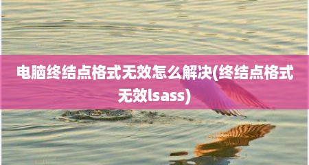 电脑终结点格式无效怎么解决(终结点格式无效lsass)