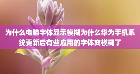 为什么电脑字体显示模糊为什么华为手机系统更新后有些应用的字体变模糊了