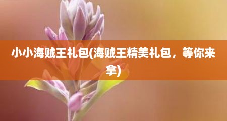 小小海贼王礼包(海贼王精美礼包，等你来拿)
