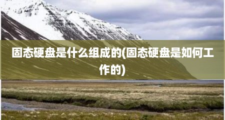 固态硬盘是什么组成的(固态硬盘是如何工作的)
