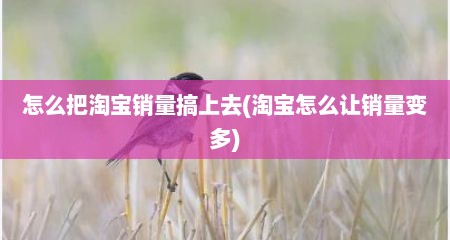 怎么把淘宝销量搞上去(淘宝怎么让销量变多)