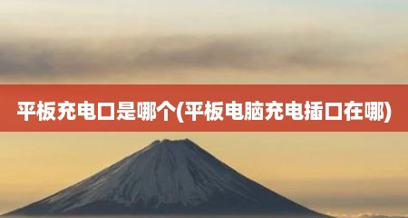 平板充电口是哪个(平板电脑充电插口在哪)