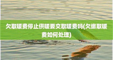 欠取暖费停止供暖要交取暖费吗(欠缴取暖费如何处理)