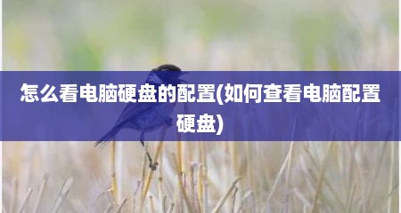 怎么看电脑硬盘的配置(如何查看电脑配置硬盘)