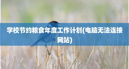 学校节约粮食年度工作计划(电脑无法连接网站)