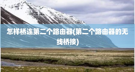 怎样桥连第二个路由器(第二个路由器的无线桥接)