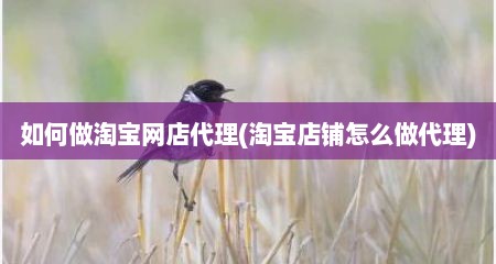如何做淘宝网店代理(淘宝店铺怎么做代理)