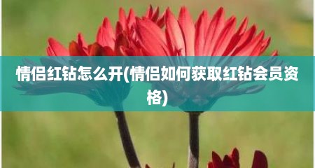 情侣红钻怎么开(情侣如何获取红钻会员资格)