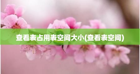 查看表占用表空间大小(查看表空间)