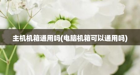 主机机箱通用吗(电脑机箱可以通用吗)