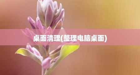 桌面清理(整理电脑桌面)