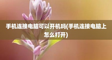 手机连接电脑可以开机吗(手机连接电脑上怎么打开)
